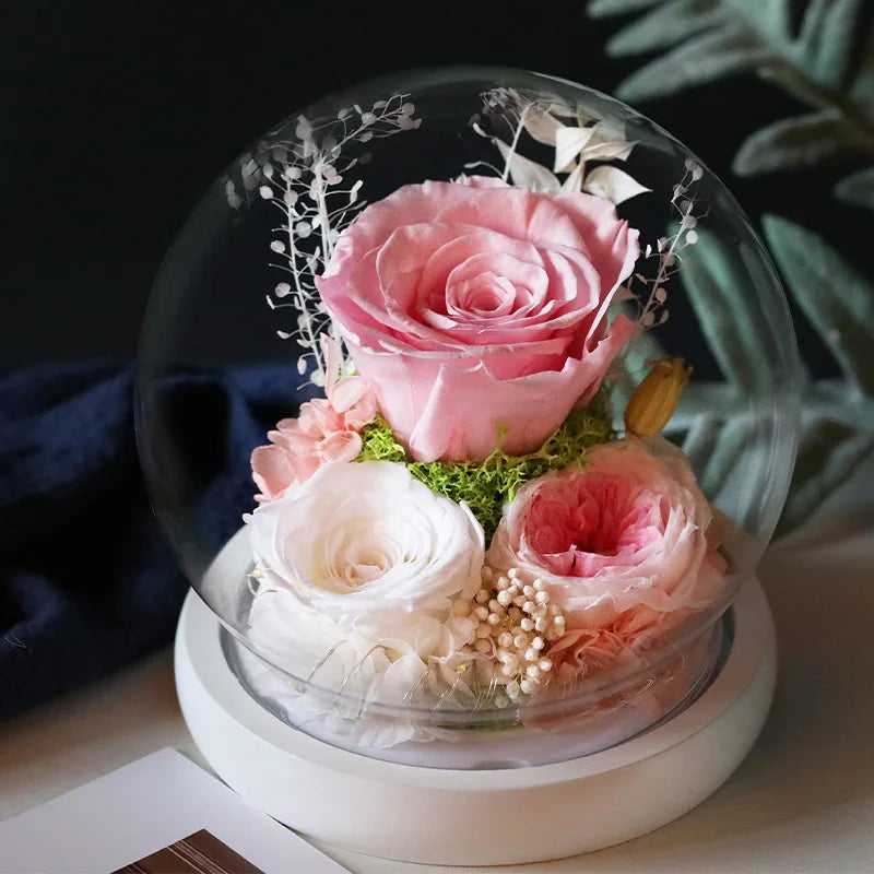 Rose éternelle avec lumière LED pour décoration de mariage, aide à la fleur dans un couvercle en verre, cadeaux de fête des mères, fête d'anniversaire, Saint Valentin